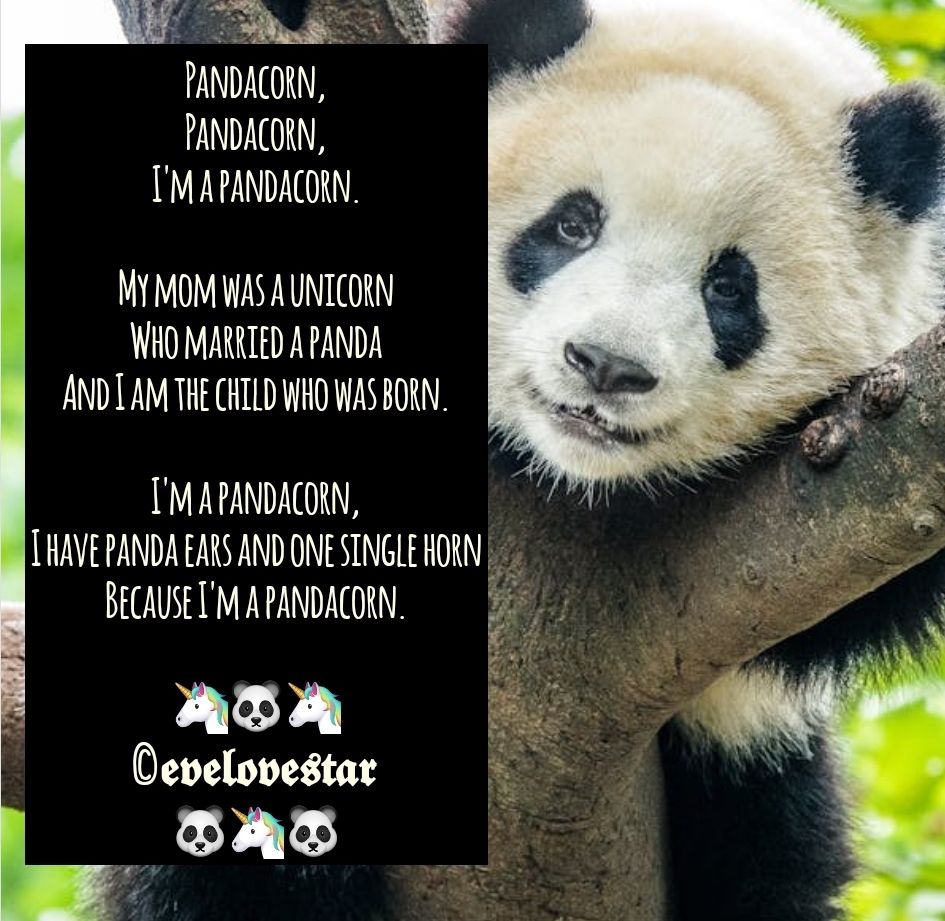 screenshot_20241001_215317_miraquill8692823941914713189